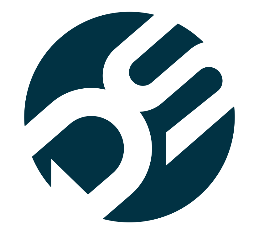 CDNS Systems Logo